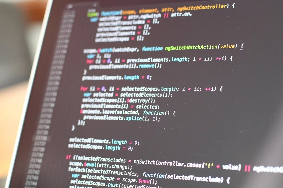 Custom software and consulting